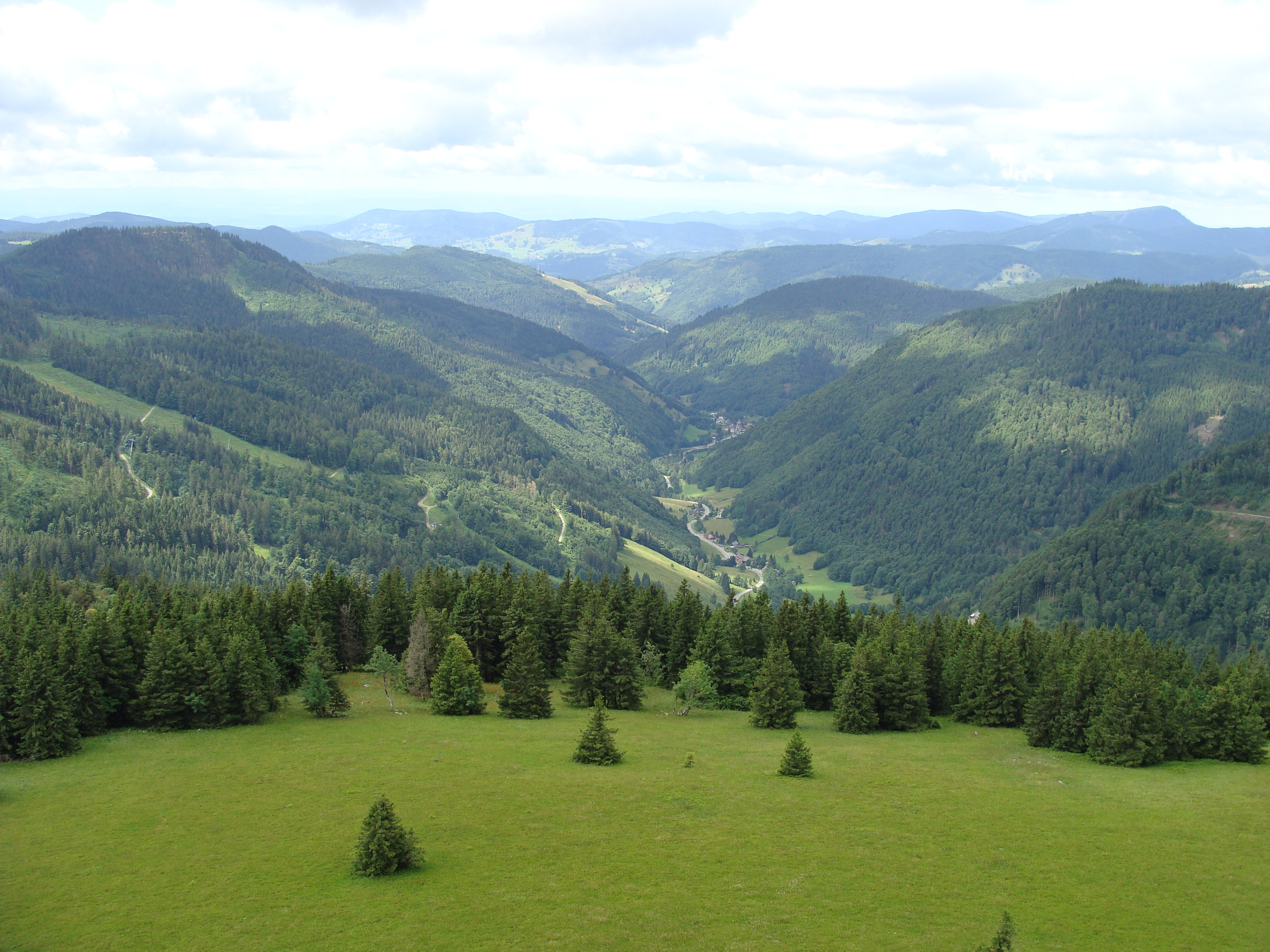 Abb. 1: Oberes Wiesental, Schwarzwald. Man erkennt die steilen und trotzdem eher gerundeten Hänge und die einheitliche Vegetation. Quelle: Steffen962 , CC0 1.0 , Wikimedia .