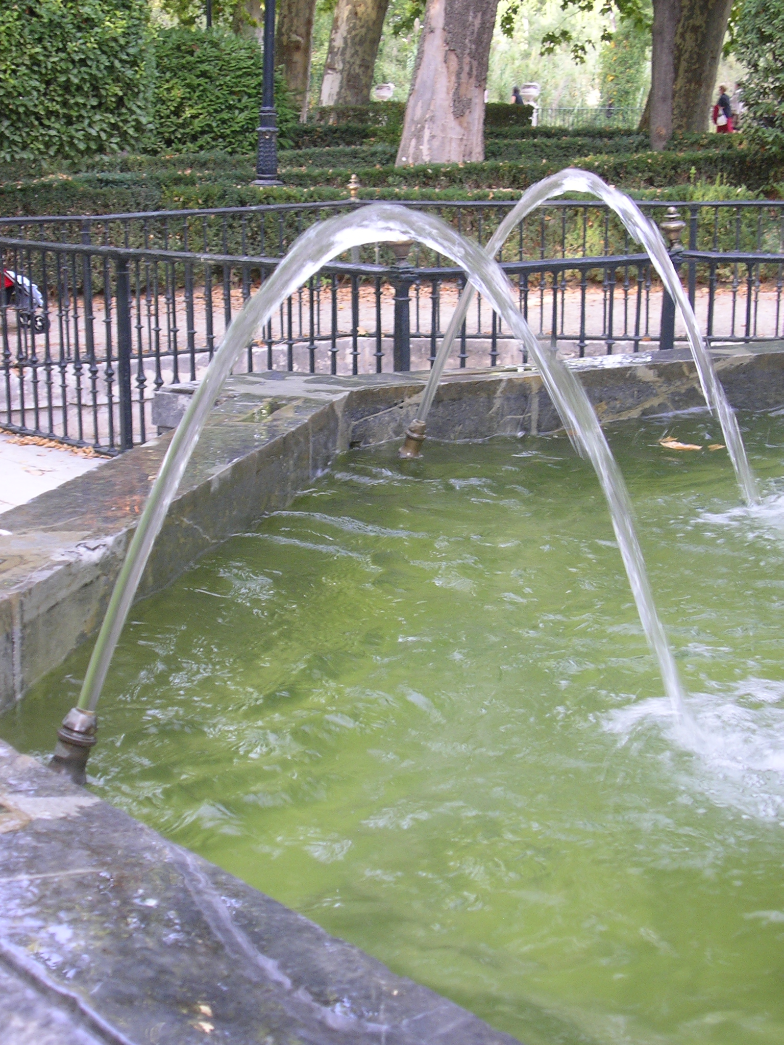 Wasserstrahlen beschreiben Parabeln