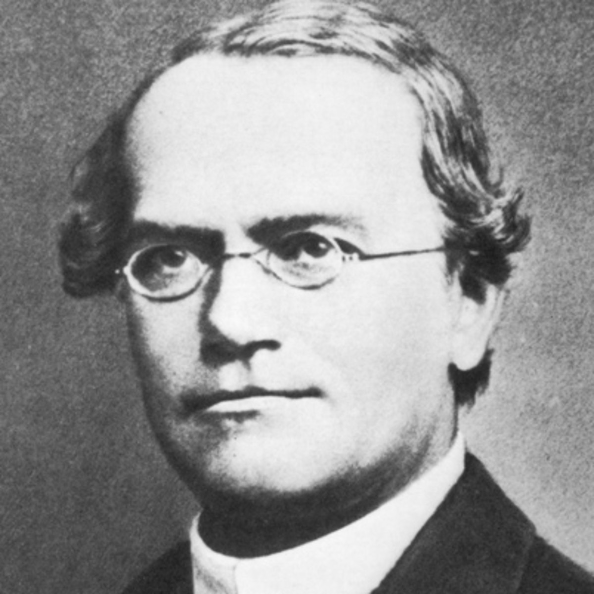 Gregor Mendel, Bildquelle , CC BY-SA 4.0