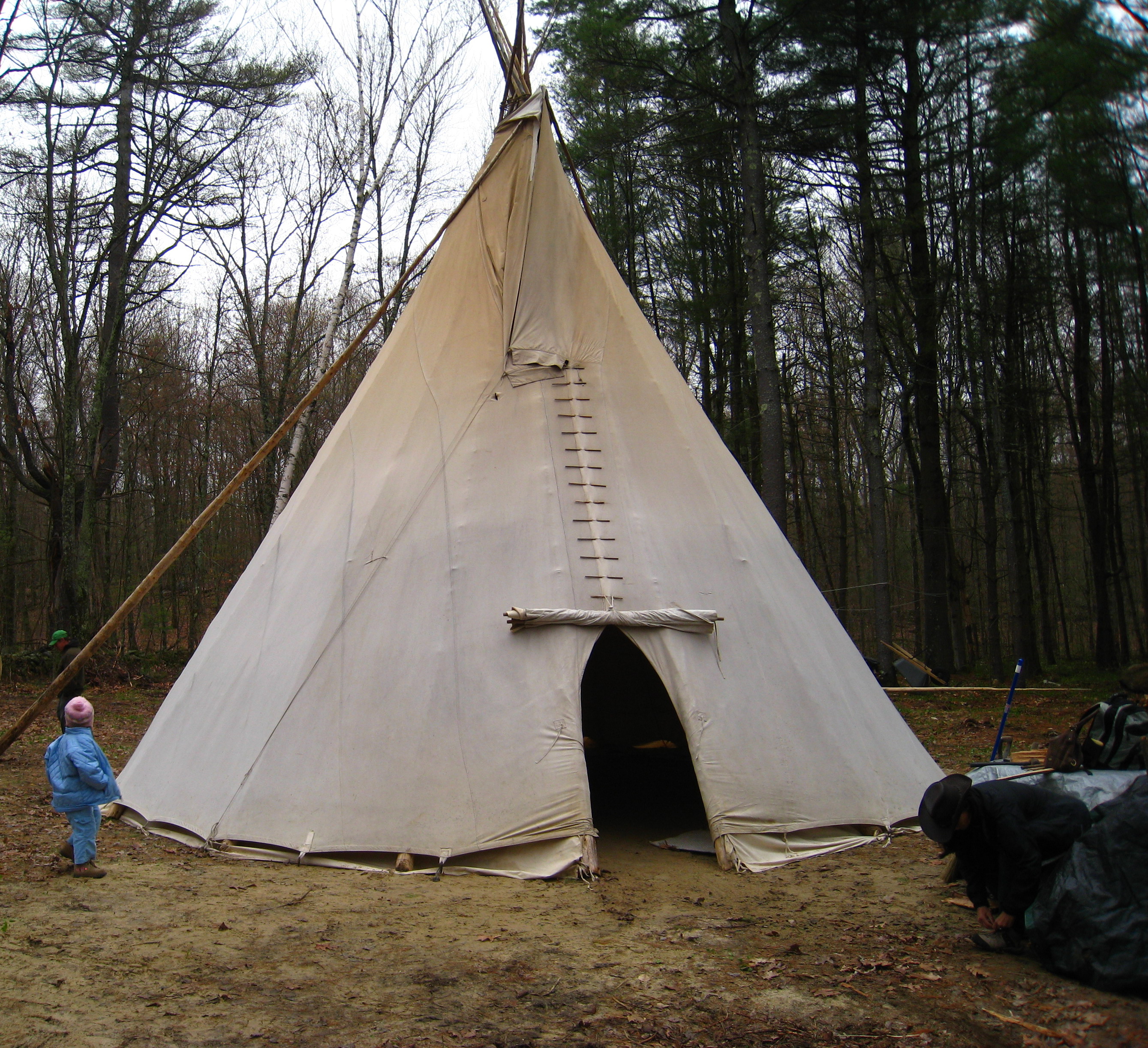 Tipi