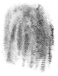 https://de.wikipedia.org/wiki/Daktyloskopie#/media/Datei:Fingerprintonpaper.jpg